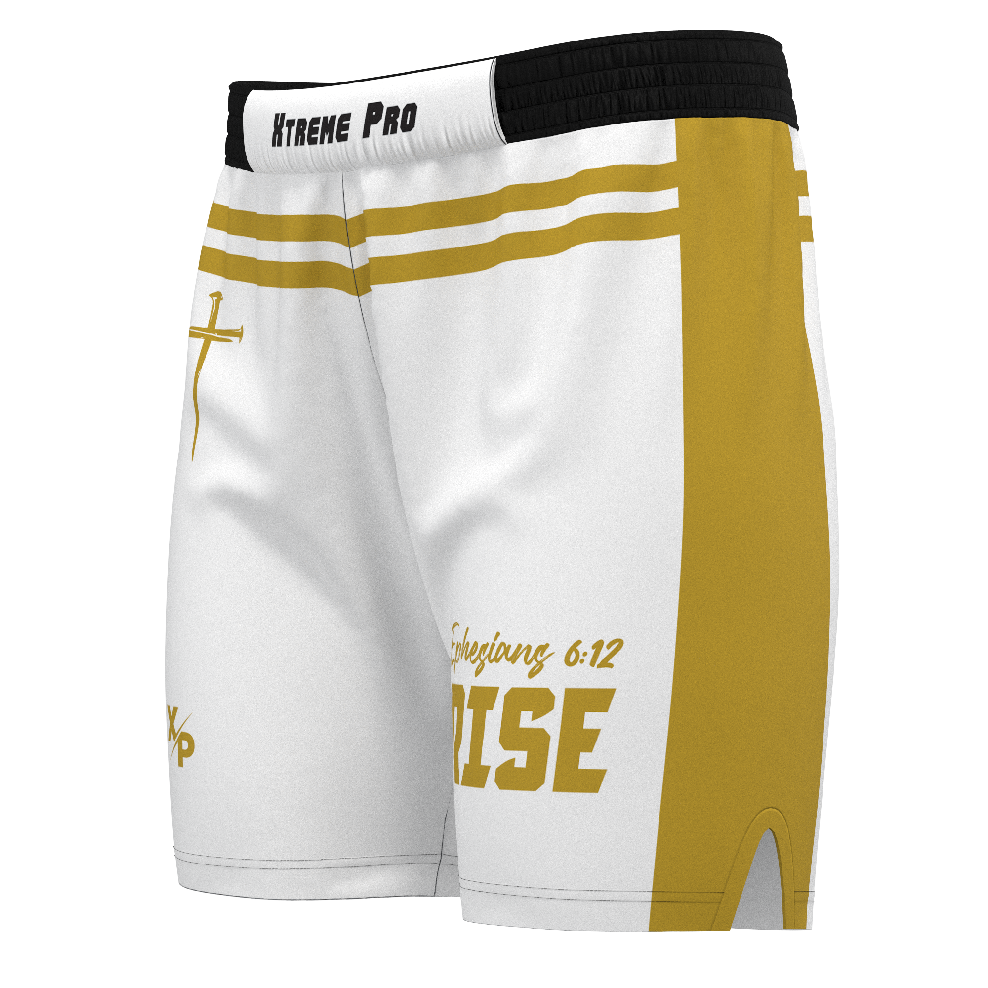 Three Nails Fight Shorts